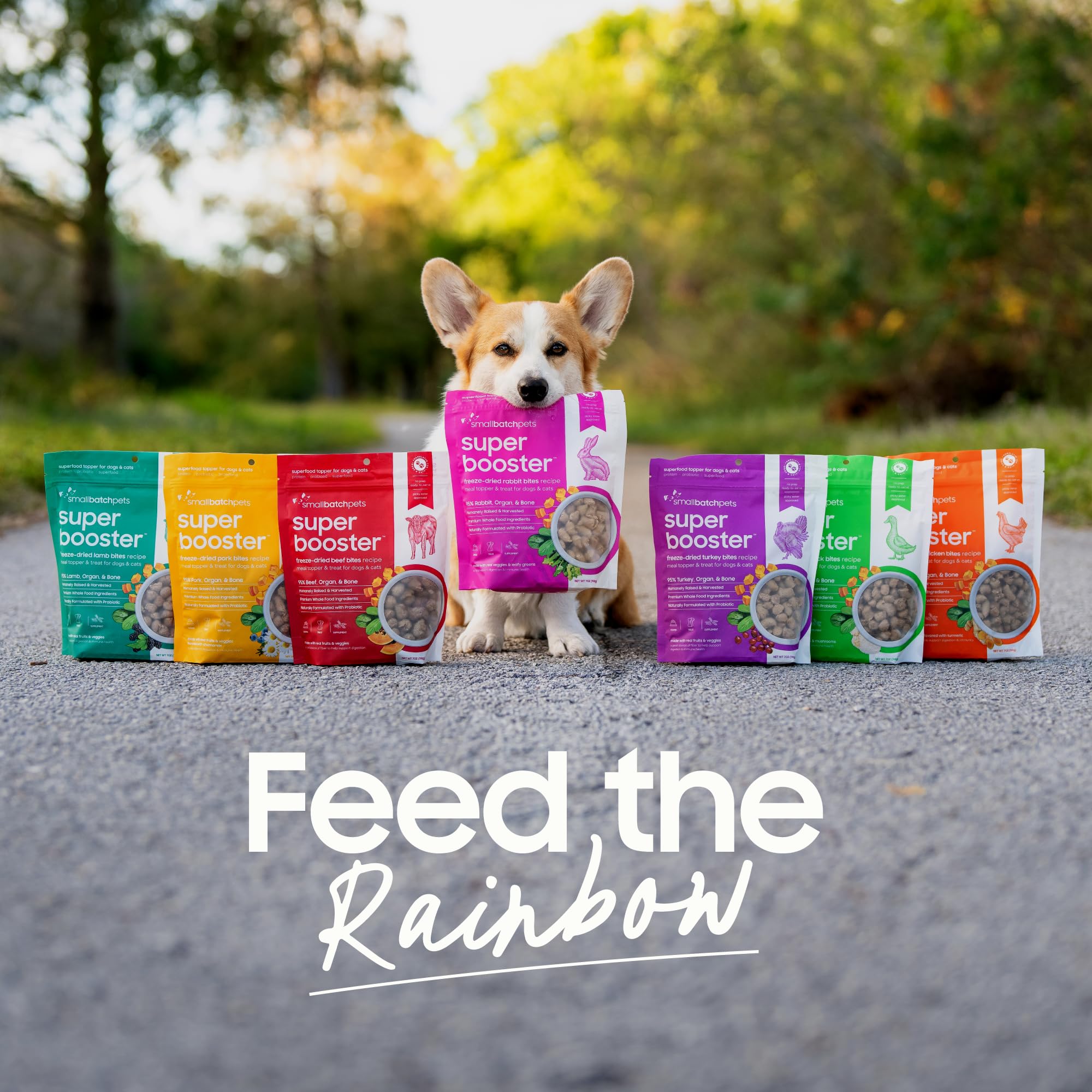 smallbatch Freeze Dried Dog Treats – Probiotic Superfood Topper, Grain-Free Beef Bites, Made in USA (18 oz)