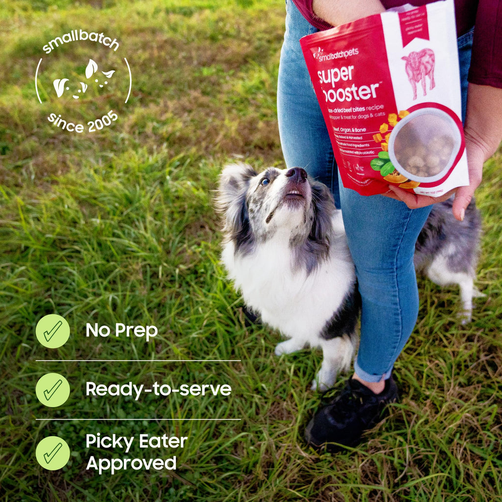 smallbatch Freeze Dried Dog Treats – Probiotic Superfood Topper, Grain-Free Beef Bites, Made in USA (18 oz)
