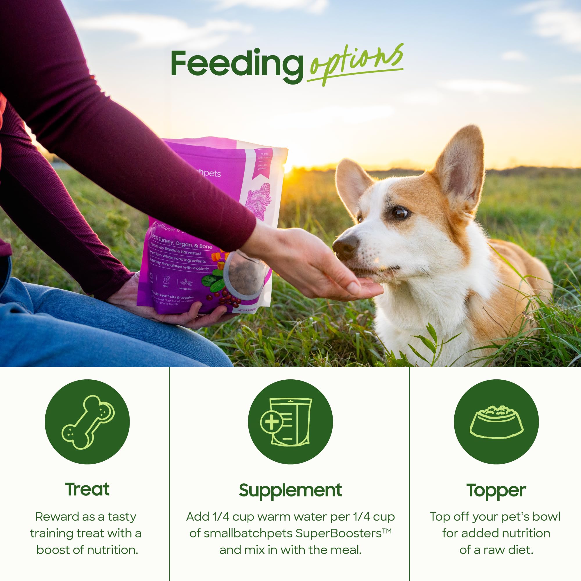 smallbatch Freeze Dried Dog Treats – Probiotic Superfood Topper, Grain-Free Beef Bites, Made in USA (18 oz)