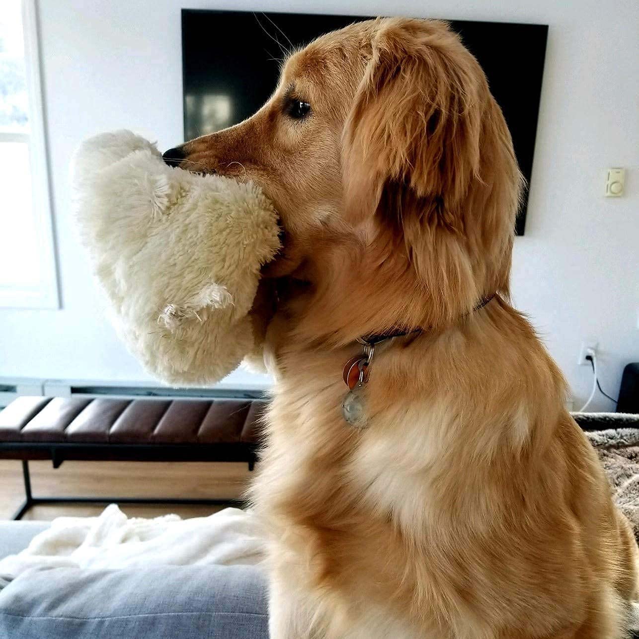 Snuggle Puppy Original Heartbeat Toy for Dogs | Anxiety Relief & Calming Aid