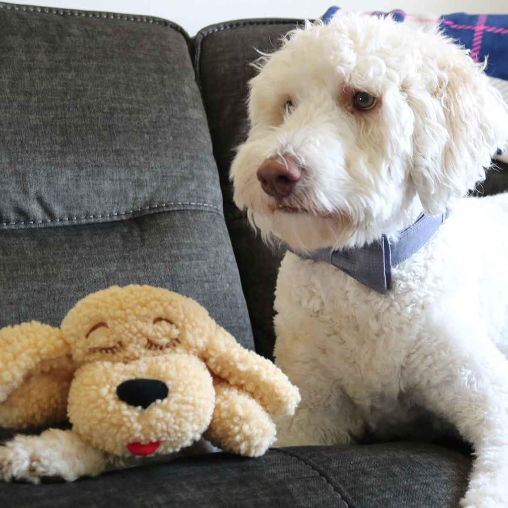 Snuggle Puppy SmartPetLove Special Edition Toys – Calming Heartbeat Dog Toy for Anxiety Relief