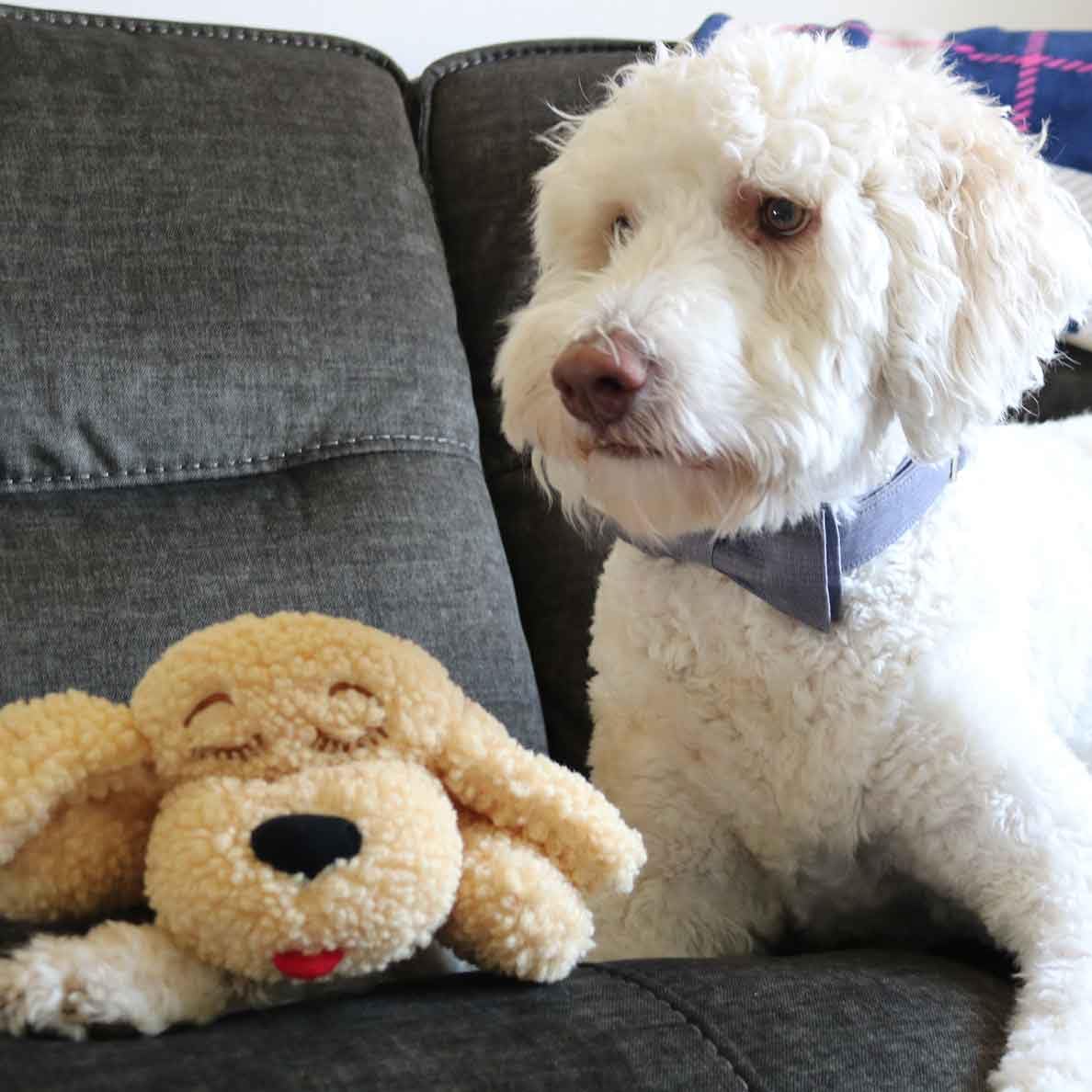 Snuggle Puppy SmartPetLove Special Edition Toys – Calming Heartbeat Dog Toy for Anxiety Relief