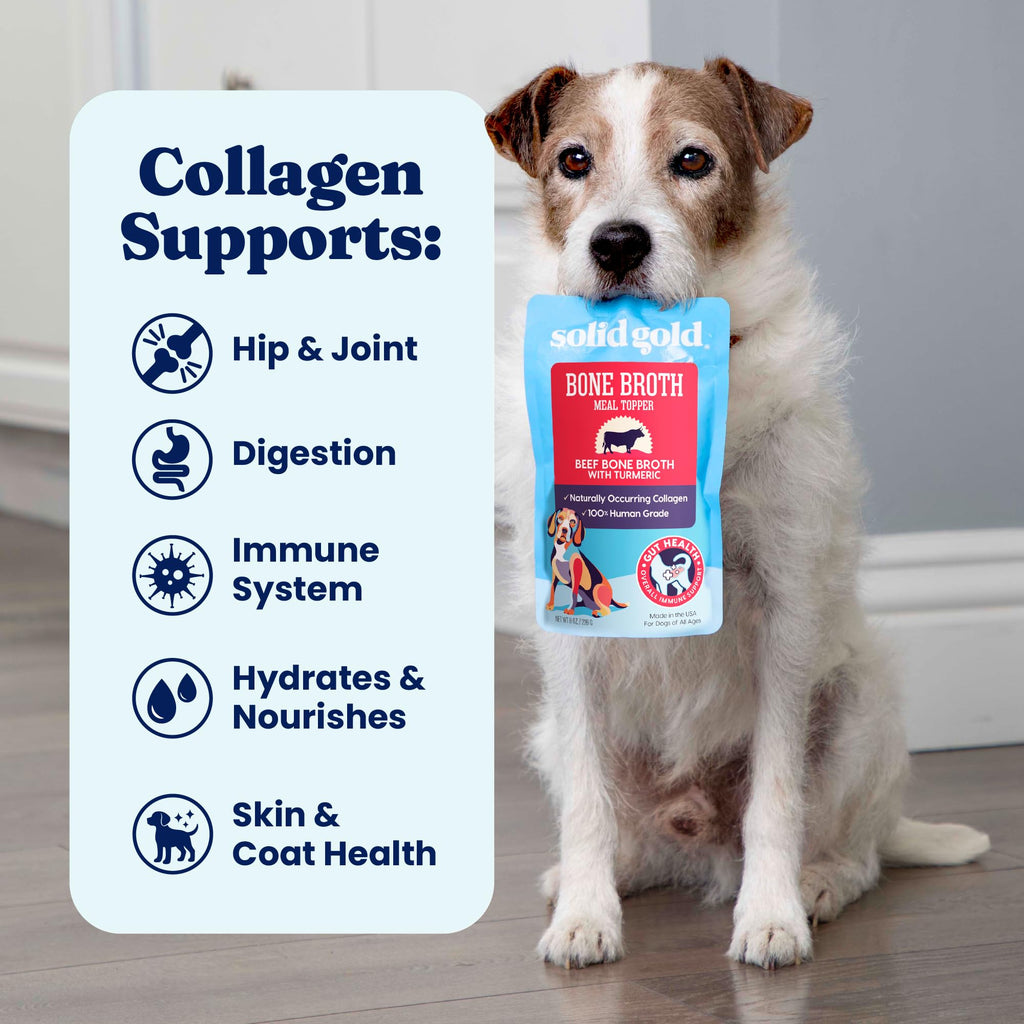 Solid Gold Beef Bone Broth for Dogs — Limited-Ingredient Topper with Collagen
