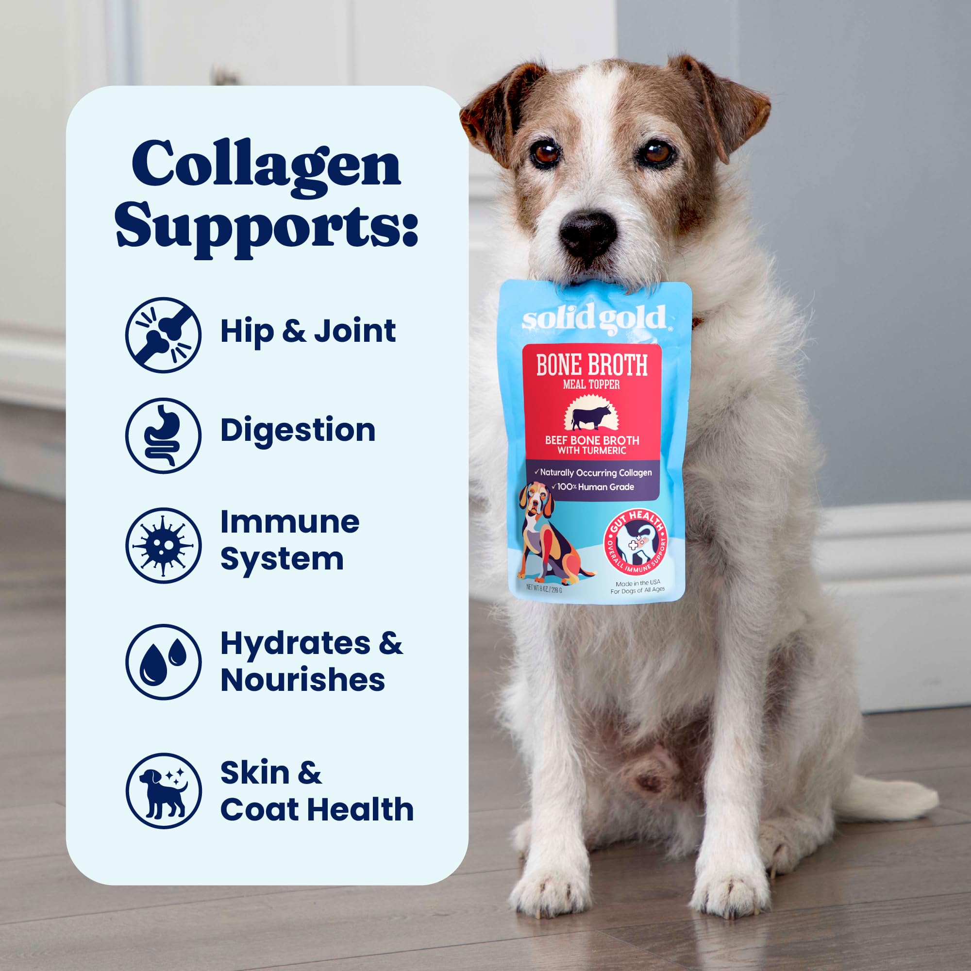 Solid Gold Beef Bone Broth for Dogs — Limited-Ingredient Topper with Collagen