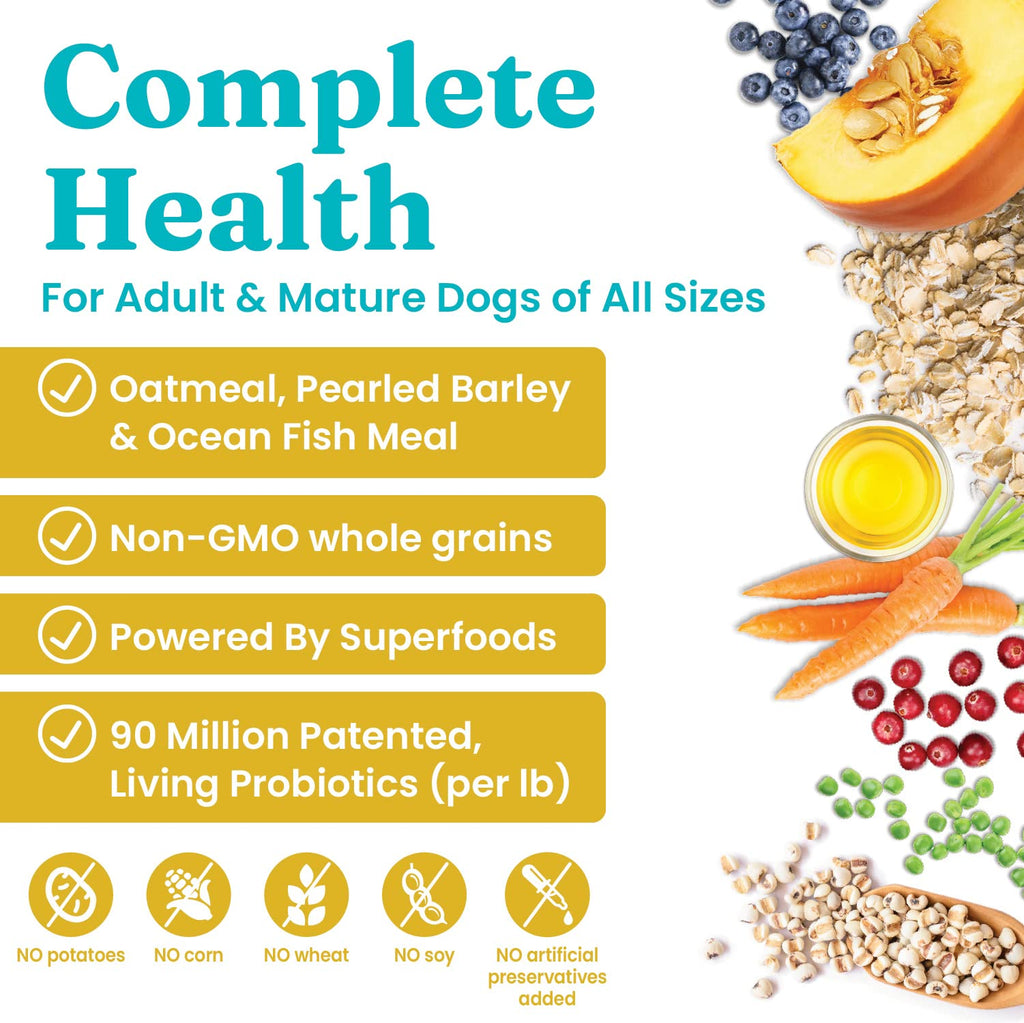 Solid Gold Dry Dog Food for Adults & Seniors — Potato-Free High-Fiber Holistique Blendz (24 lb)