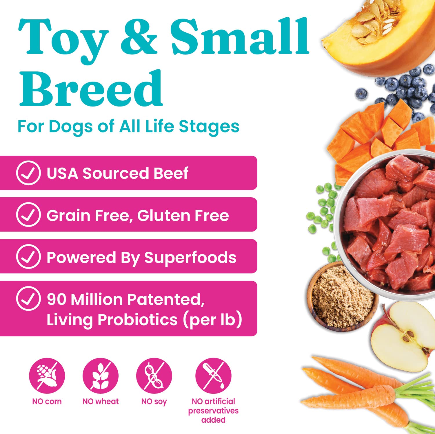 Solid Gold Mighty Mini Small Breed Dry Dog Food – Real Beef, Grain Free, Probiotics | 11 lb
