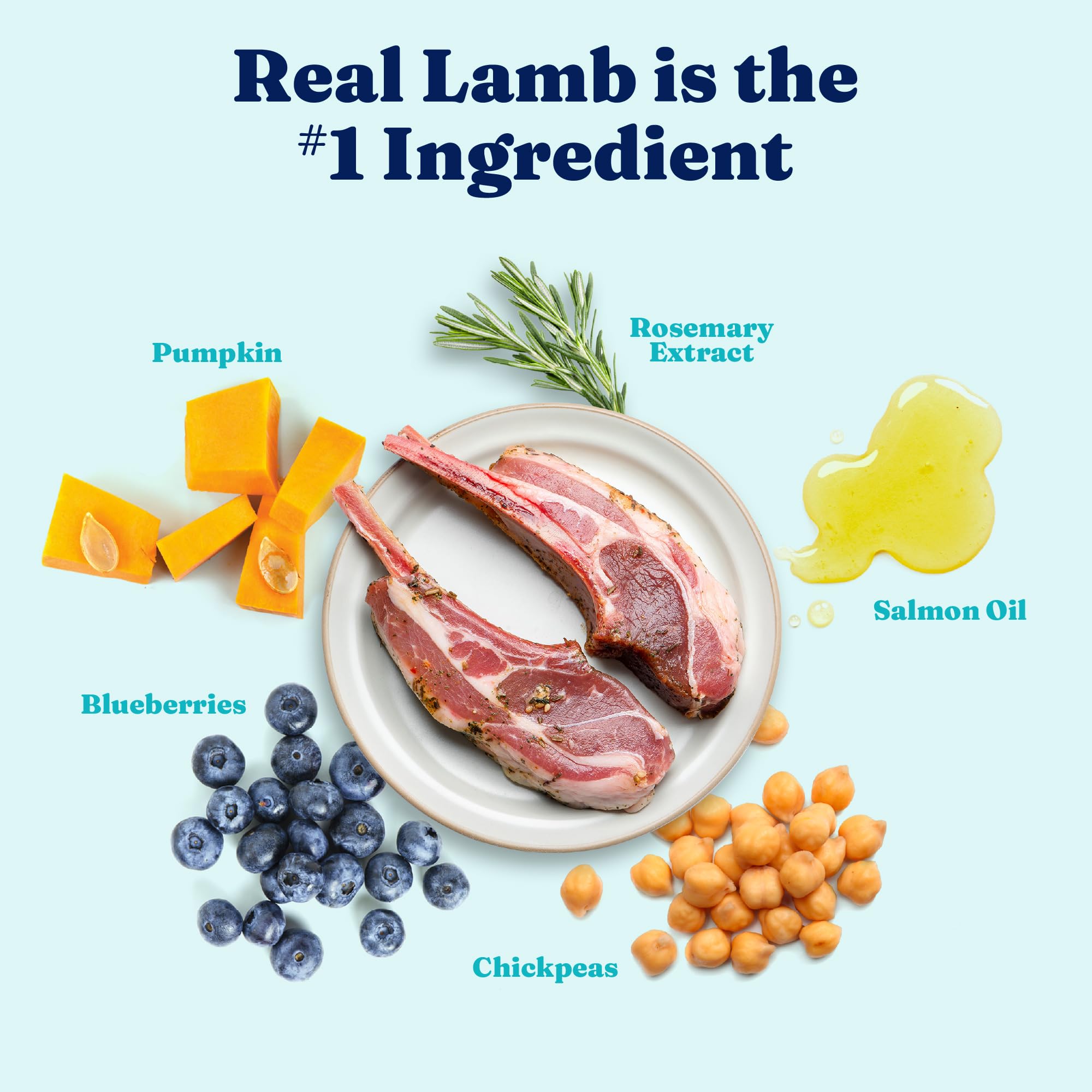 Solid Gold Toy & Small Breed Dry Dog Food Small Bites – Real Lamb, Grain Free, Probiotics, 11lb