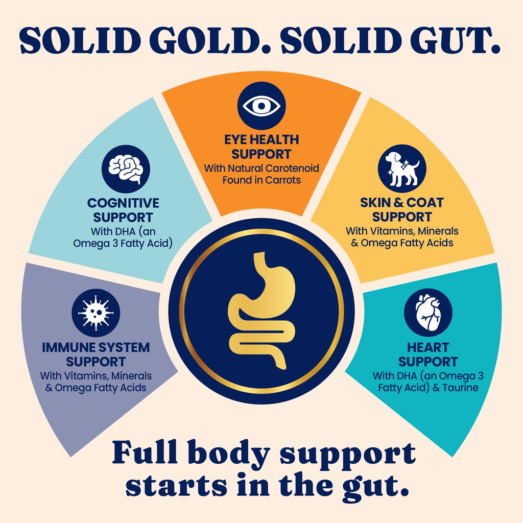 Solid Gold Indoor Dry Cat Food – Grain Free Salmon Recipe with Probiotics & Hairball Support | 12LB