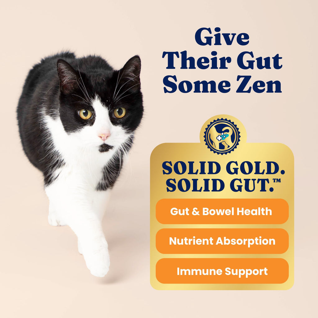 Solid Gold Indoor Dry Cat Food – Grain Free Salmon Recipe with Probiotics & Hairball Support | 12LB