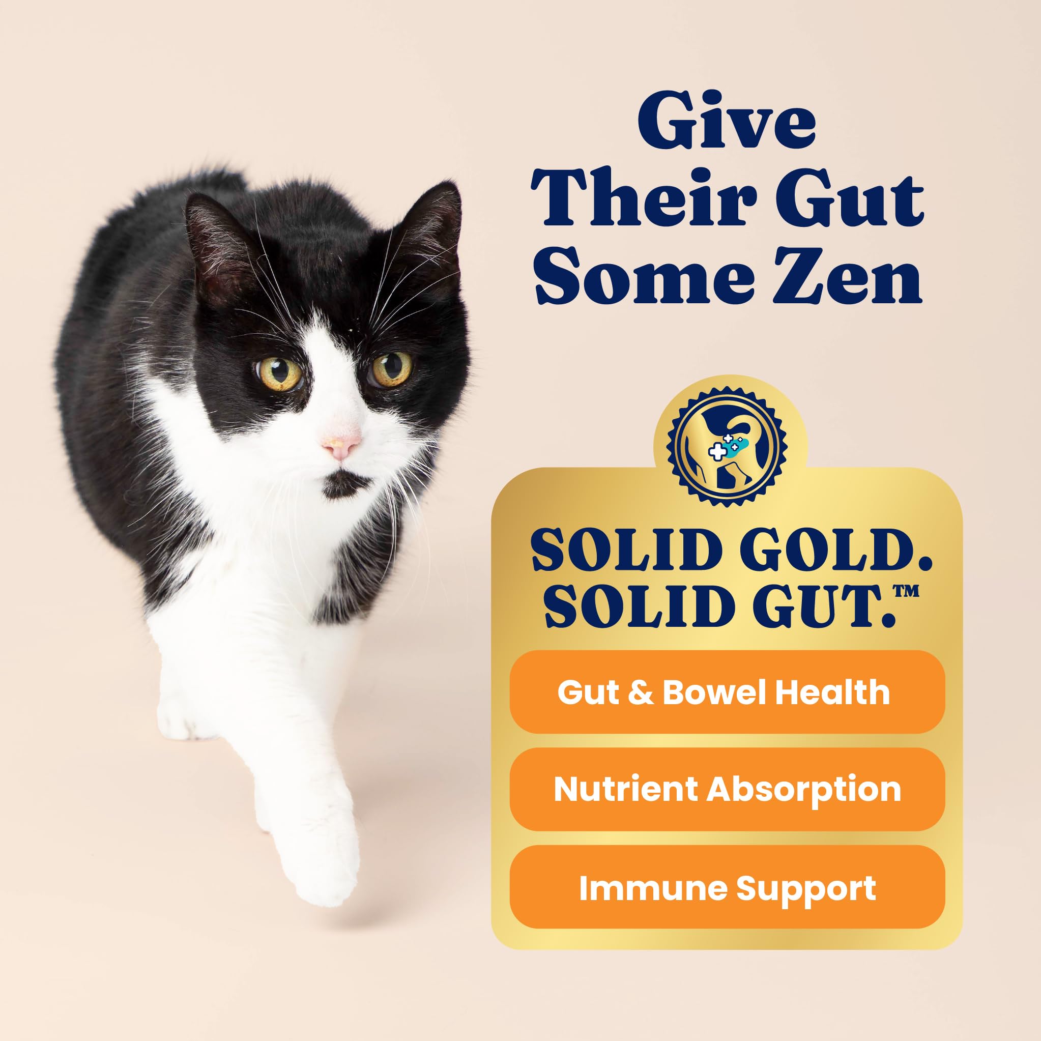 Solid Gold Indoor Dry Cat Food – Grain Free Salmon Recipe with Probiotics & Hairball Support | 12LB