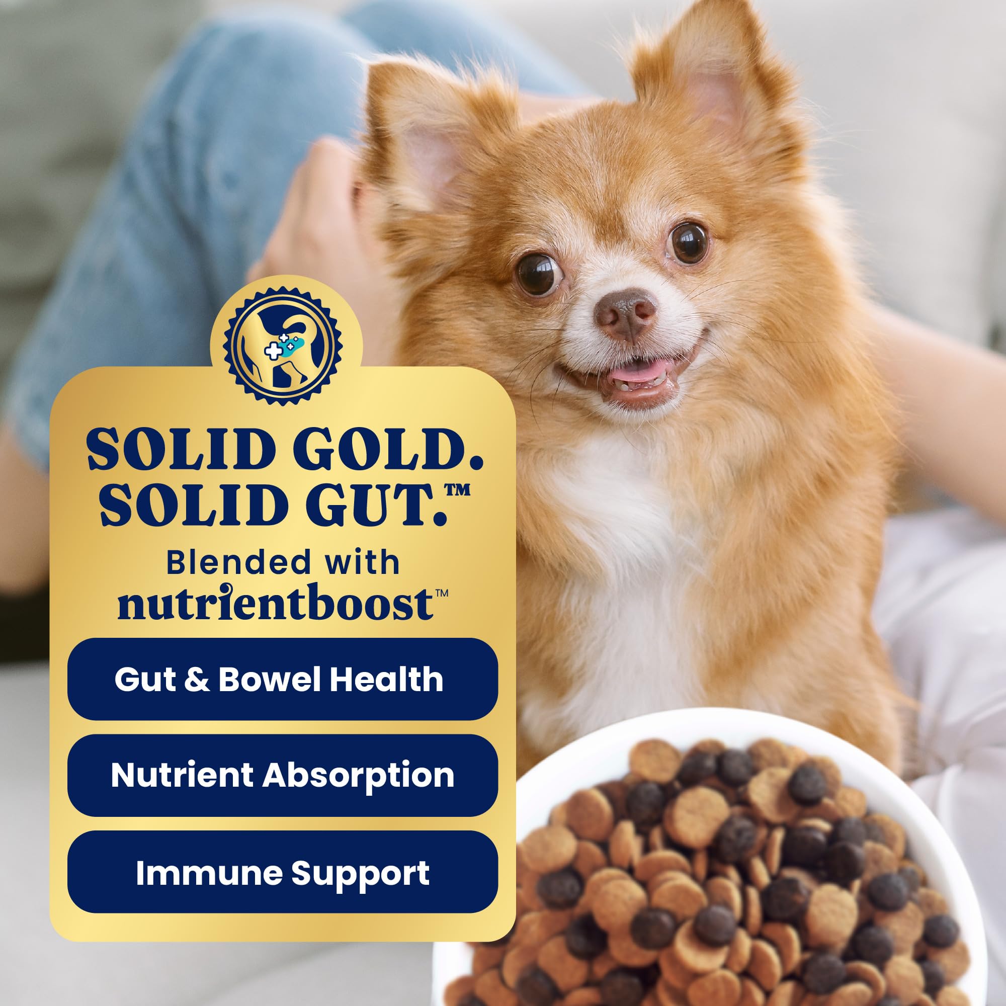 Solid Gold Toy & Small Breed Dry Dog Food Small Bites – Real Lamb, Grain Free, Probiotics, 11lb