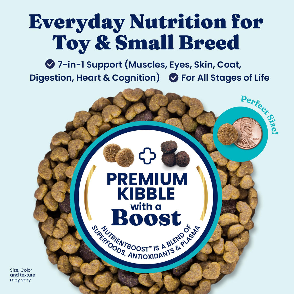 Solid Gold Toy & Small Breed Dry Dog Food Small Bites – Real Lamb, Grain Free, Probiotics, 11lb