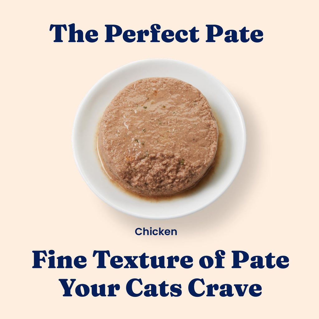 Solid Gold Wet Cat Food Pate for Indoor Cats – Real Chicken, High Moisture, Grain Free (24ct/3oz)