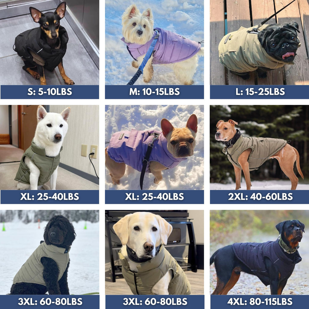 Spark Paws Dog Winter Jacket - Water-Resistant, Warm Fleece, Reflective - 3XL
