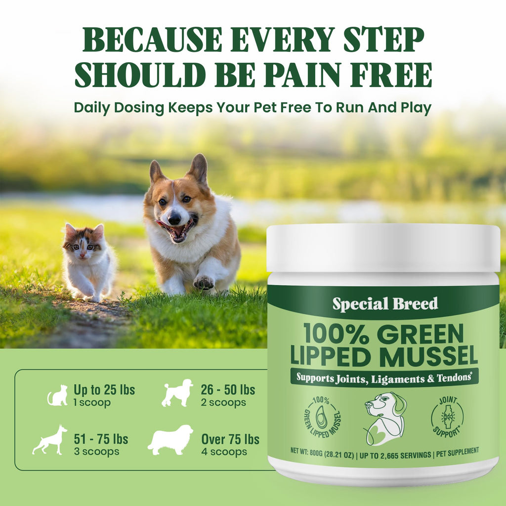 Special Breed Green Lipped Mussel Powder for Dogs & Cats – Natural Joint Support from New Zealand (800g)