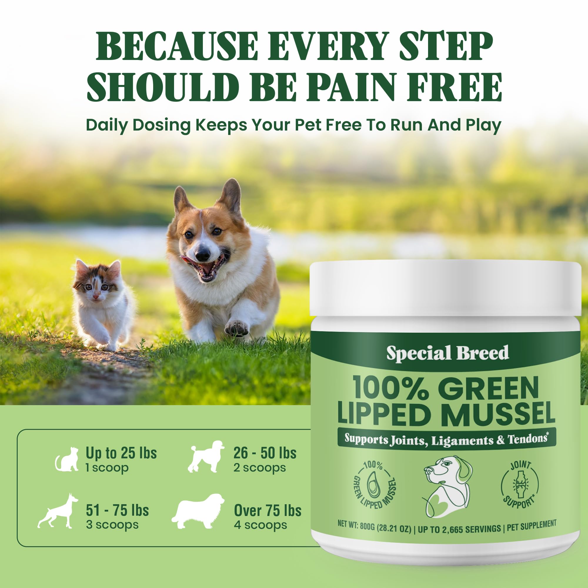 Special Breed Green Lipped Mussel Powder for Dogs & Cats – Natural Joint Support from New Zealand (800g)