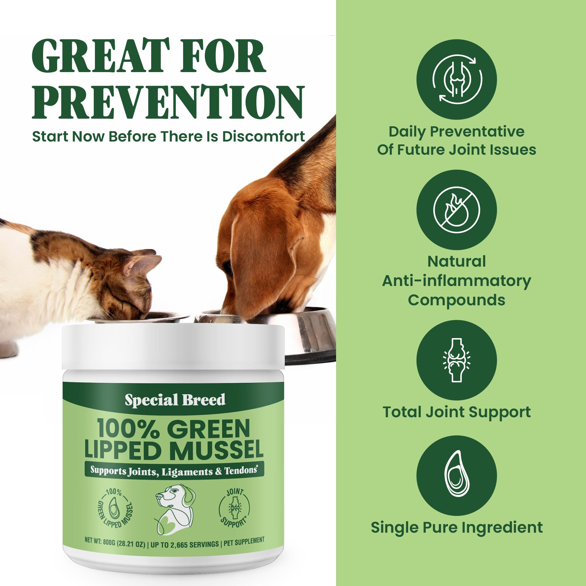 Special Breed Green Lipped Mussel Powder for Dogs & Cats – Natural Joint Support from New Zealand (800g)
