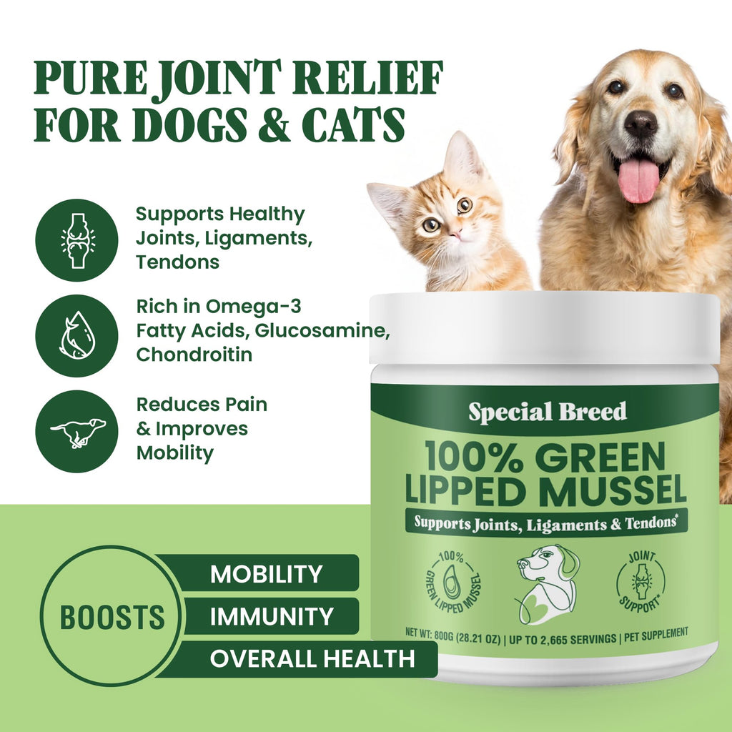 Special Breed Green Lipped Mussel Powder for Dogs & Cats – Natural Joint Support from New Zealand (800g)