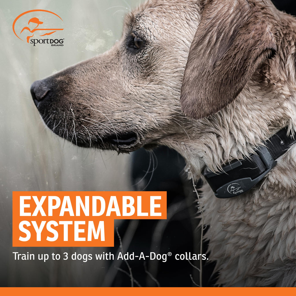 SportDOG SportHunter 825X Remote Training Collar — Half-Mile Range, Waterproof