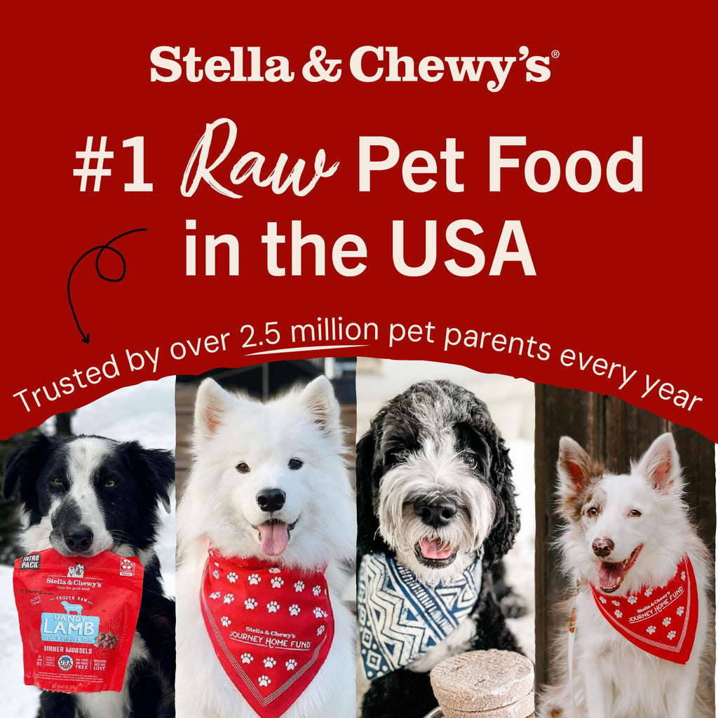 Stella & Chewy's Freeze-Dried Lamb Meal Mixers – Grain-Free Topper (35 oz)