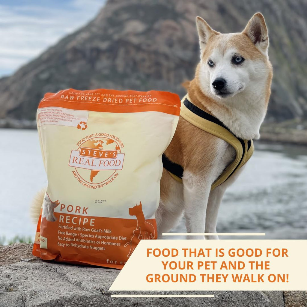 Steve's Real Food Freeze-Dried Raw Nuggets – Pork Recipe (20 oz) | Raw Pet Food for Dogs & Cats
