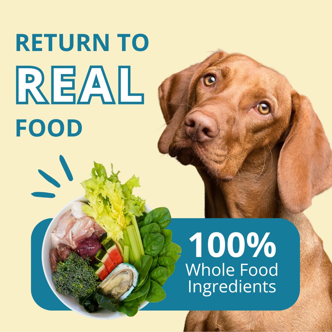 Steve's Real Food Freeze-Dried Raw Nuggets – Turkey Recipe, 20 oz, for Dogs & Cats