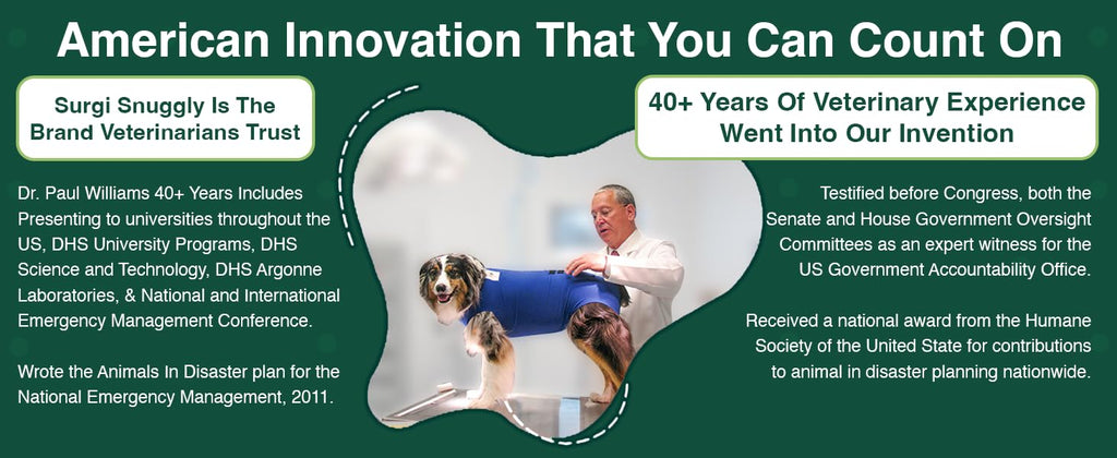 SurgiSnuggly Dog Surgical Recovery Suit – Cone Alternative for Spay/Neuter, 14 Sizes & 7 Colors