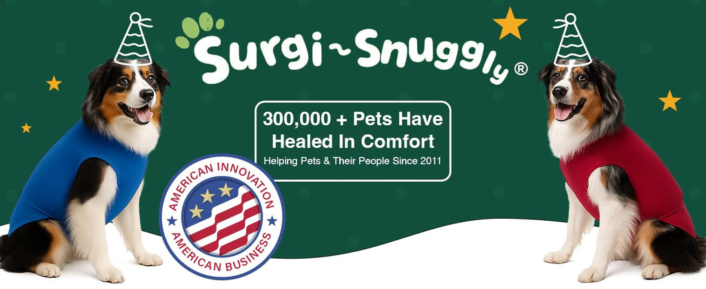 SurgiSnuggly Dog Surgical Recovery Suit – Cone Alternative for Spay/Neuter, 14 Sizes & 7 Colors