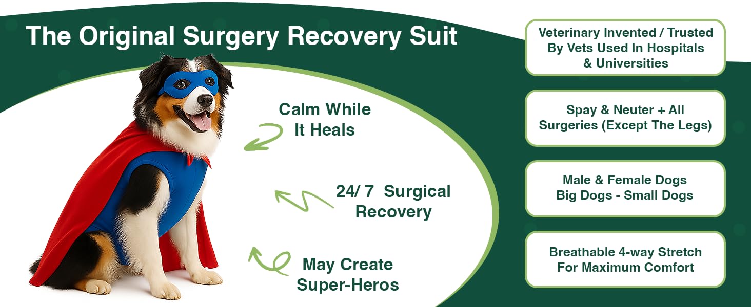 SurgiSnuggly Dog Surgical Recovery Suit – Cone Alternative for Spay/Neuter, 14 Sizes & 7 Colors
