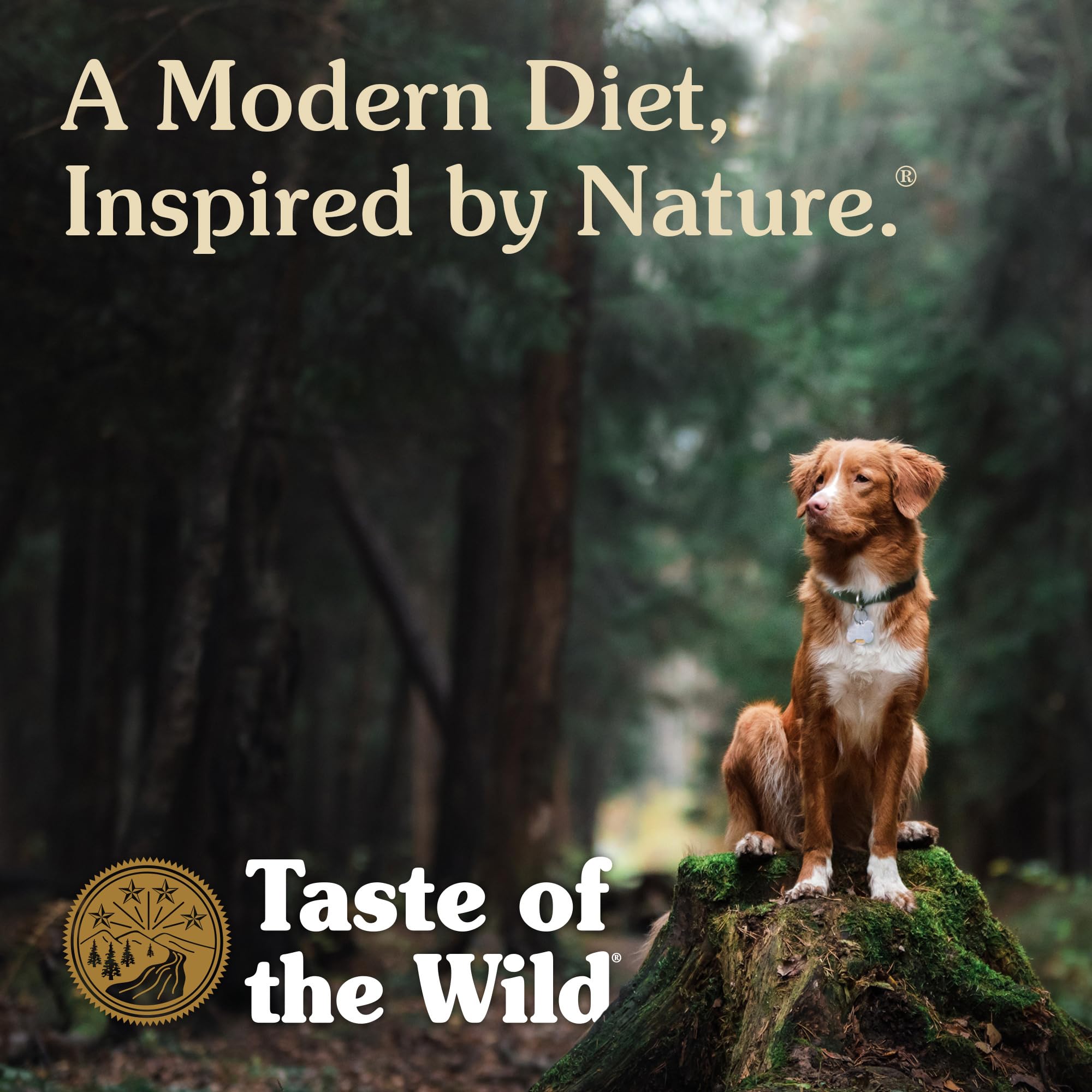 Taste of the Wild Appalachian Valley Small Breed Grain-Free Venison Dry Dog Food — 32% Protein, Real Venison, 28lb