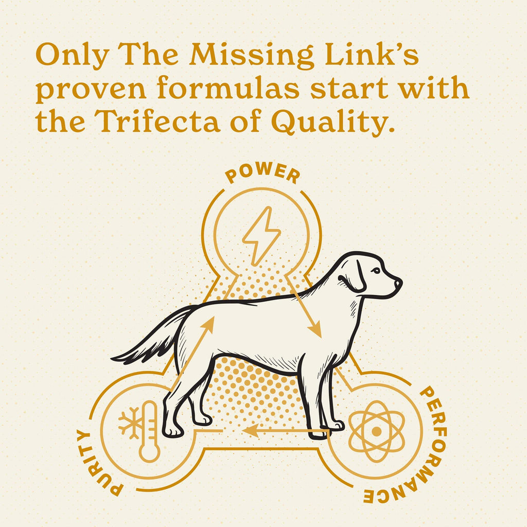 The Missing Link Skin & Coat + Probiotics Supplement for Dogs | 5lb Bag, Healthy Skin, Glossy Coat & Hair Growth