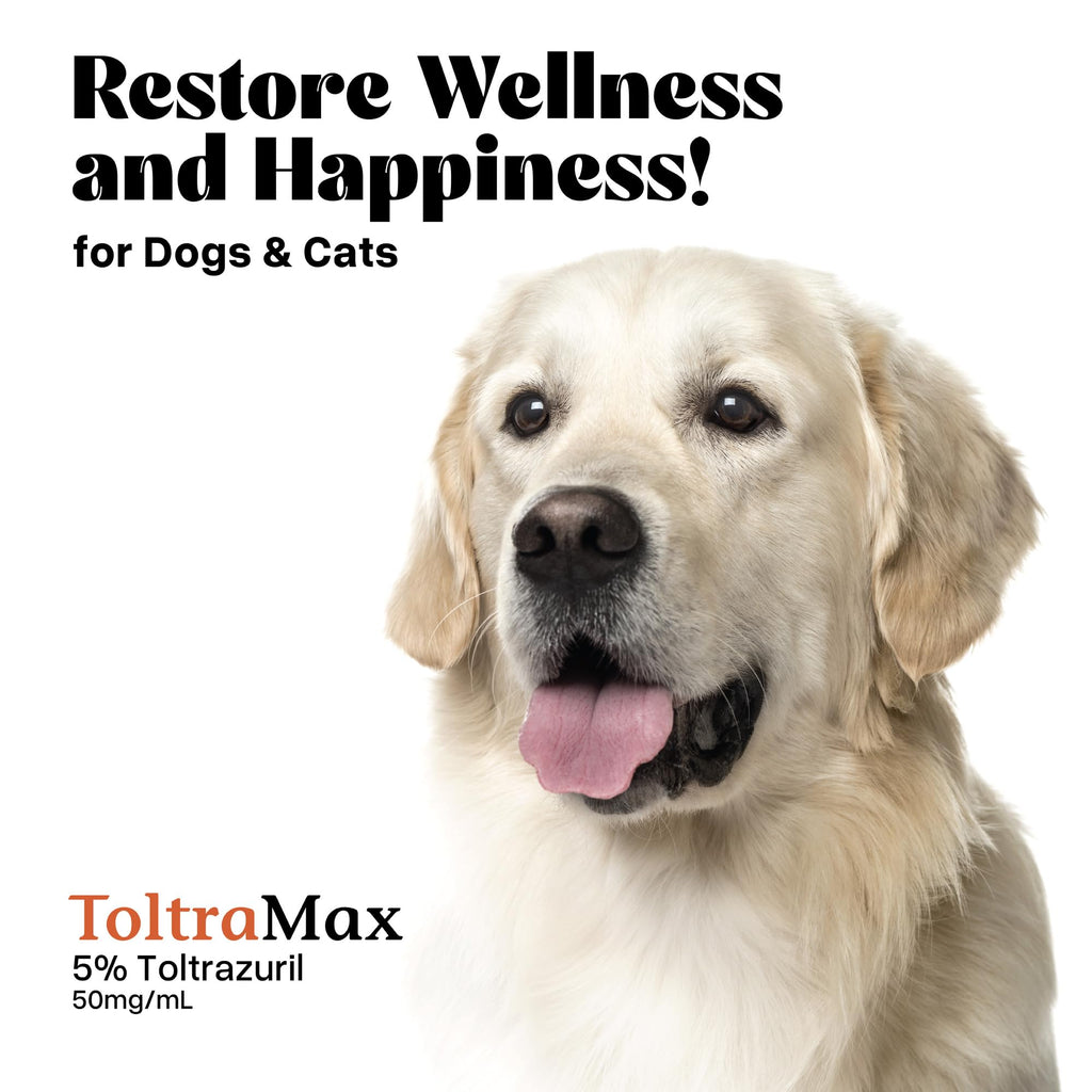ToltraMax Toltrazuril 5.0% – 240 mL for Horses, Dogs & Cats (Non-Food Chain Animals)