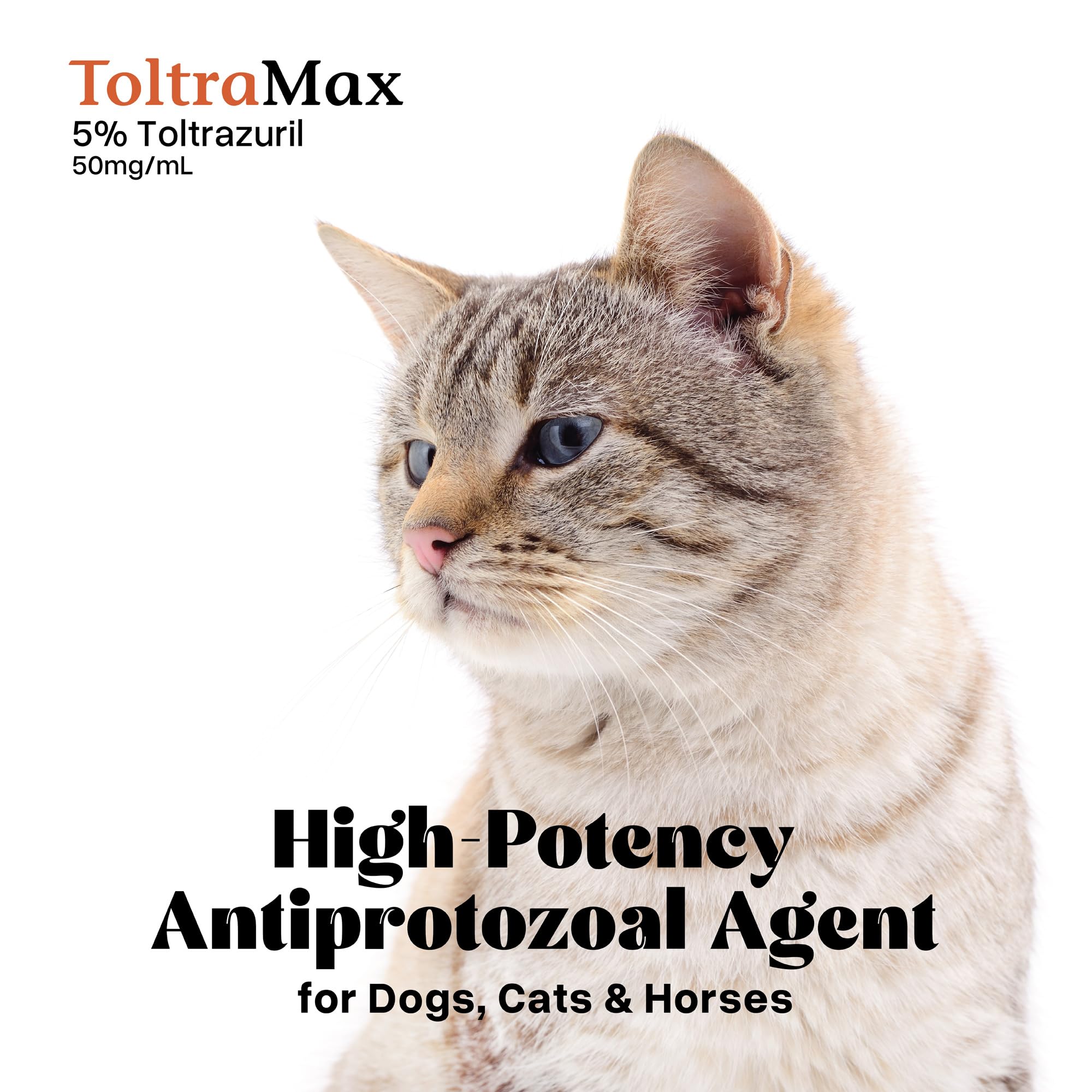 ToltraMax Toltrazuril 5.0% – 240 mL for Horses, Dogs & Cats (Non-Food Chain Animals)