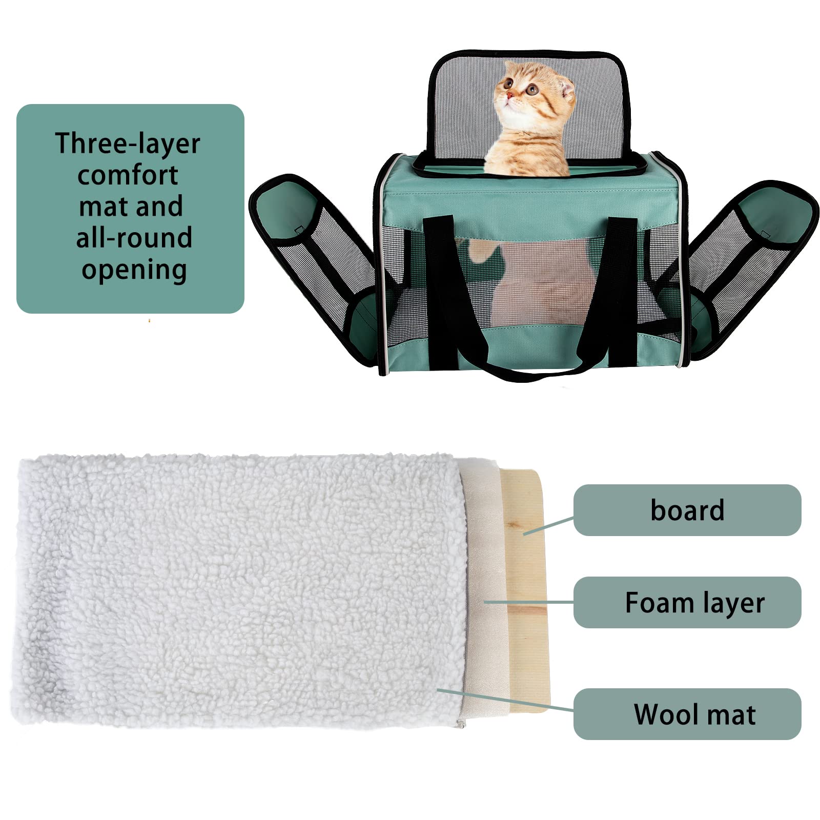 Top tasta Cat Carrier - Soft Sided Pet Carrier Up to 30 lb, Breathable & Collapsible (X-Large, Green)