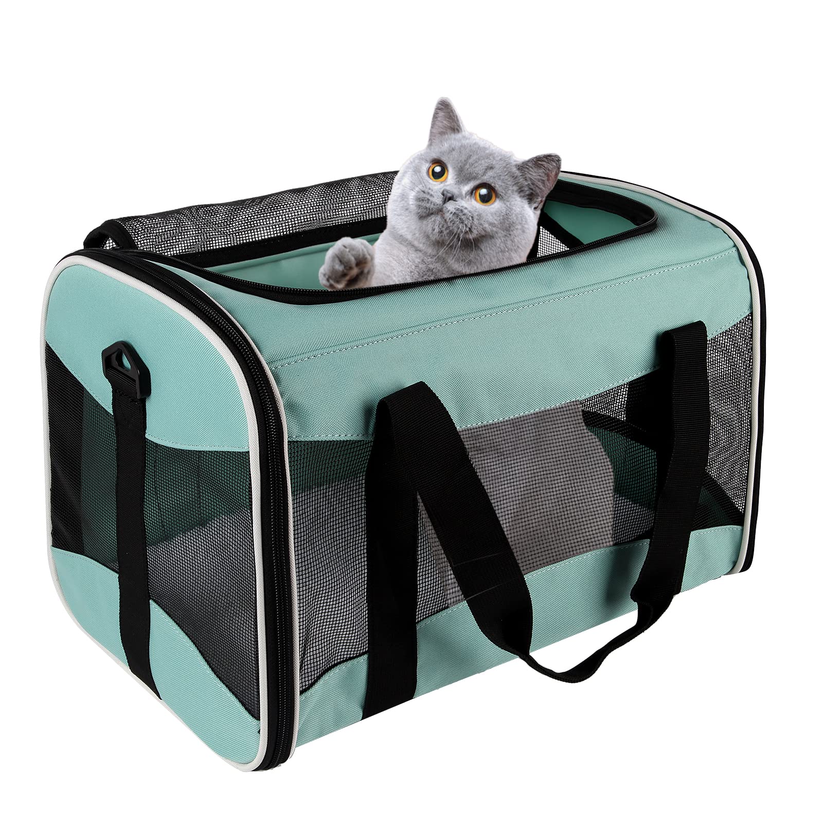 Top tasta Cat Carrier - Soft Sided Pet Carrier Up to 30 lb, Breathable & Collapsible (X-Large, Green)