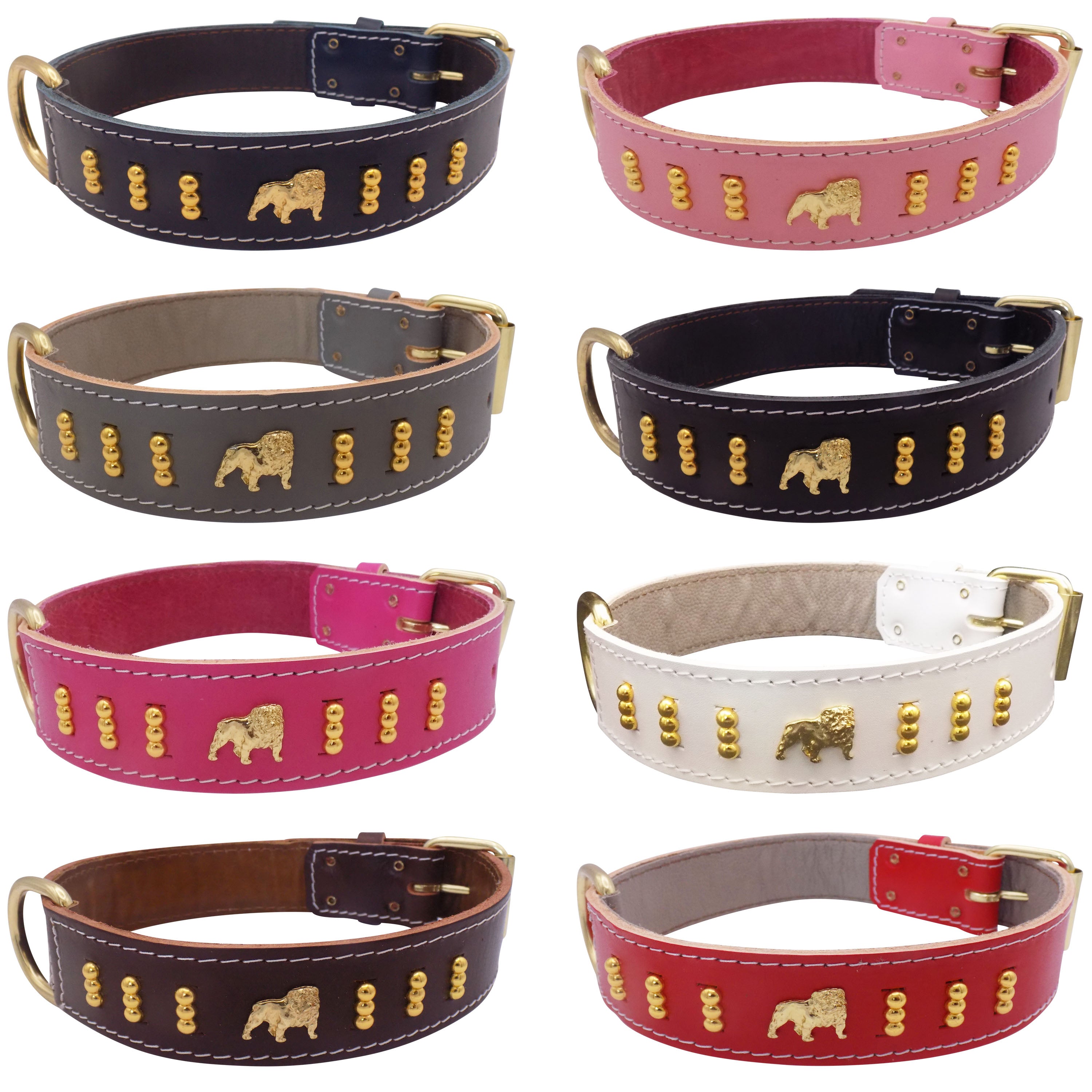 1.5" wide Leather Dog Collar with Unique Gold Design and English Bulldog Badges Style-4