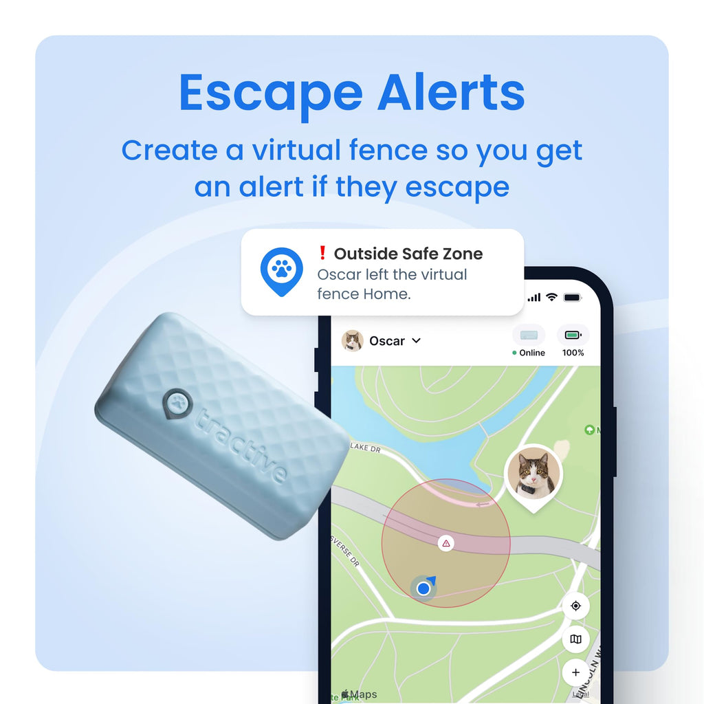 Tractive XL Smart Dog GPS Tracker | Real-Time Location, Virtual Fence & Vital Signs