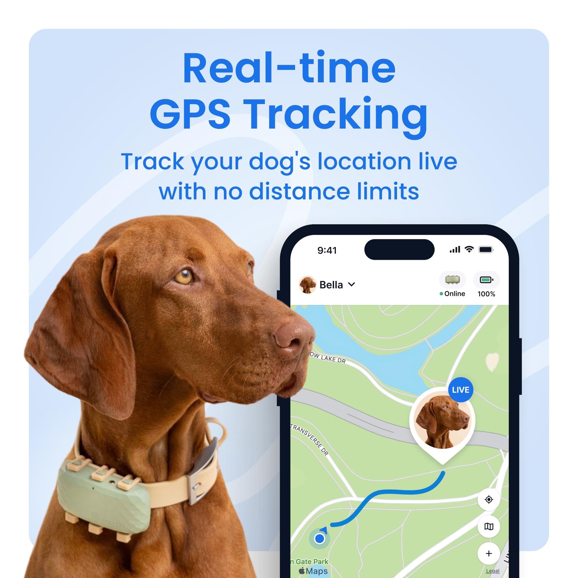 Tractive XL Smart Dog GPS Tracker | Real-Time Location, Virtual Fence & Vital Signs