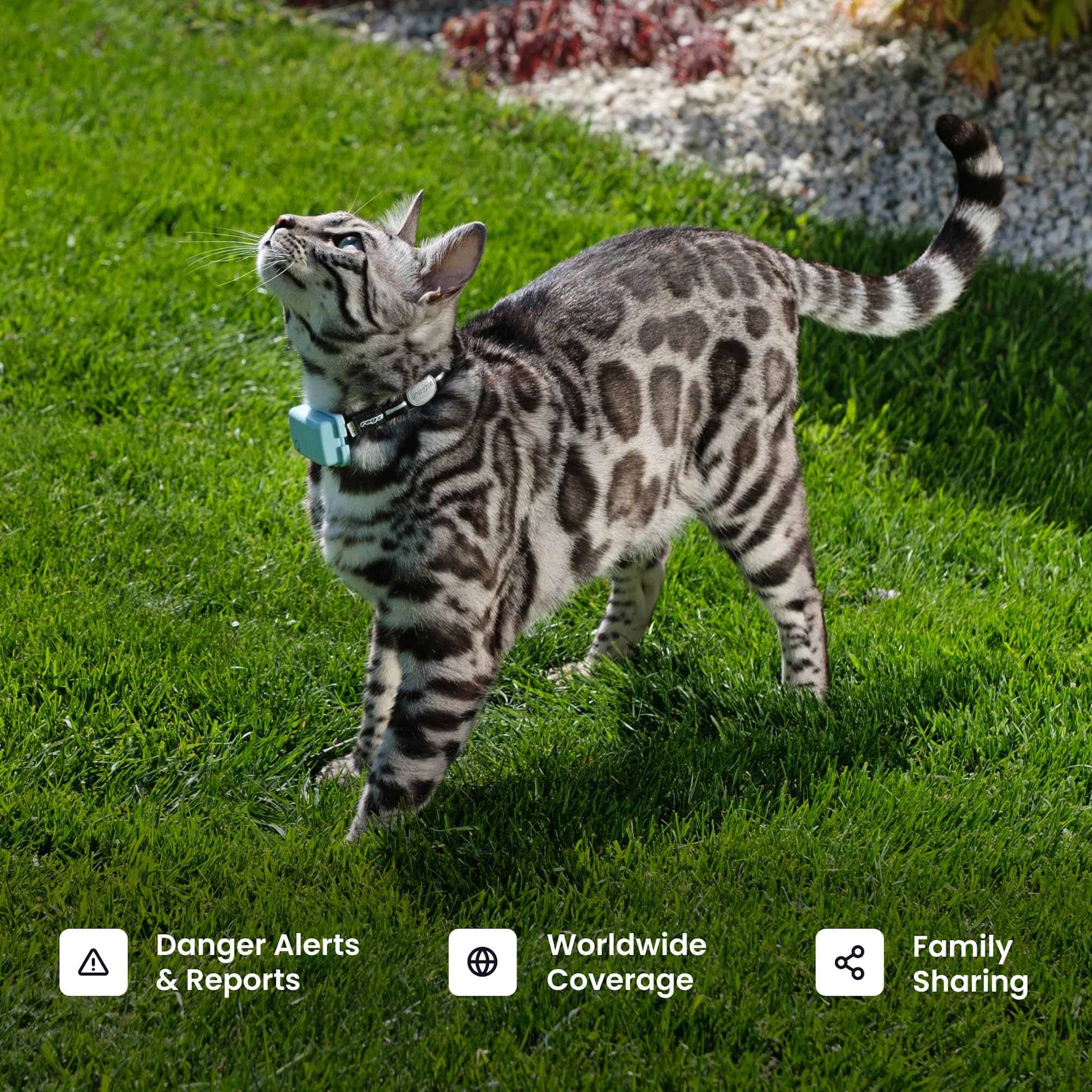 Tractive XL Smart Dog GPS Tracker | Real-Time Location, Virtual Fence & Vital Signs