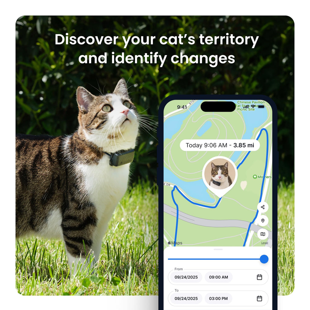 Tractive XL Smart Dog GPS Tracker | Real-Time Location, Virtual Fence & Vital Signs