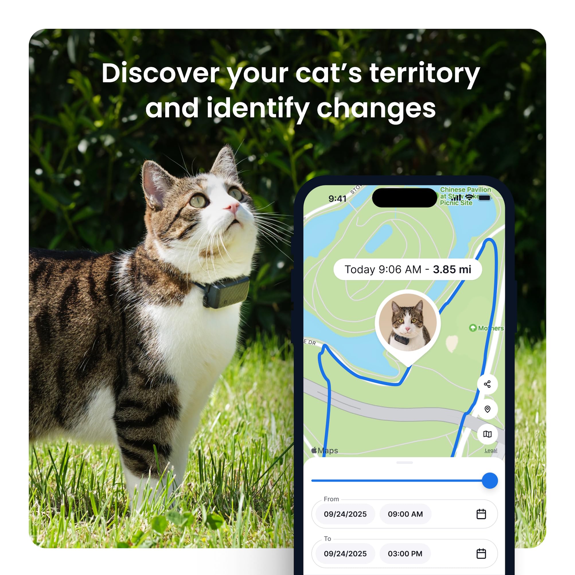 Tractive XL Smart Dog GPS Tracker | Real-Time Location, Virtual Fence & Vital Signs