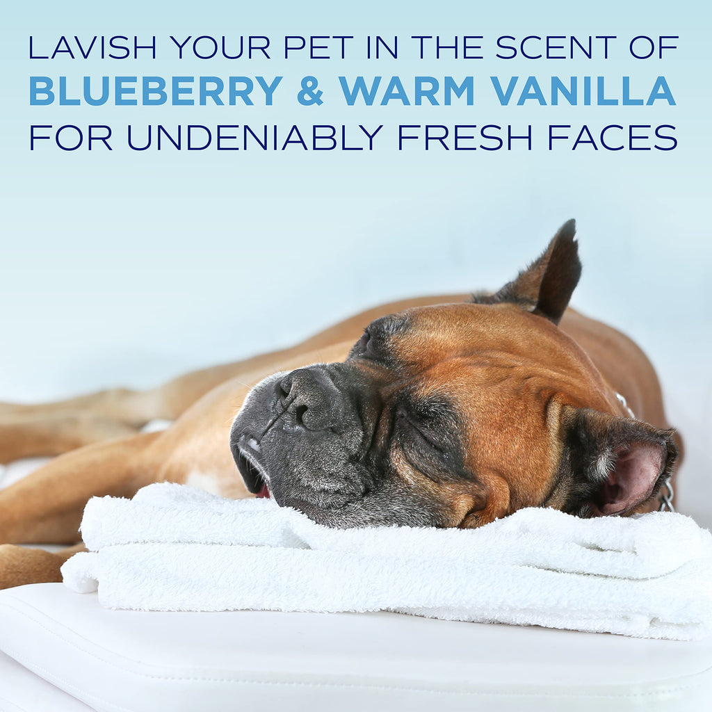 TropiClean SPA Tear Stain Remover for Dogs | Blueberry Facial Shampoo, Tearless & Whitening – Made in USA | 1 Gallon