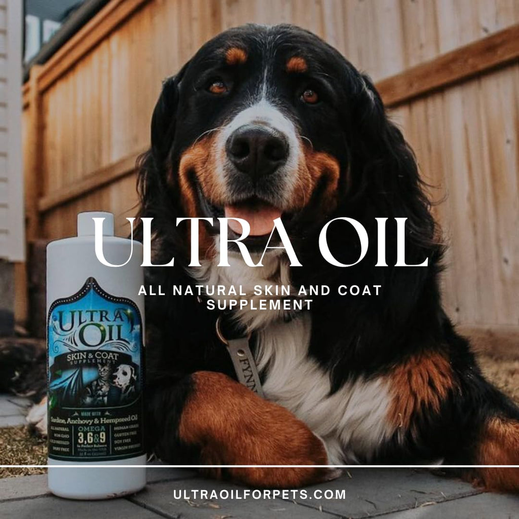 Ultra Oil Skin & Coat Supplement for Dogs & Cats — Hemp Seed, Flaxseed, Grape Seed & Fish Oils — 128 oz
