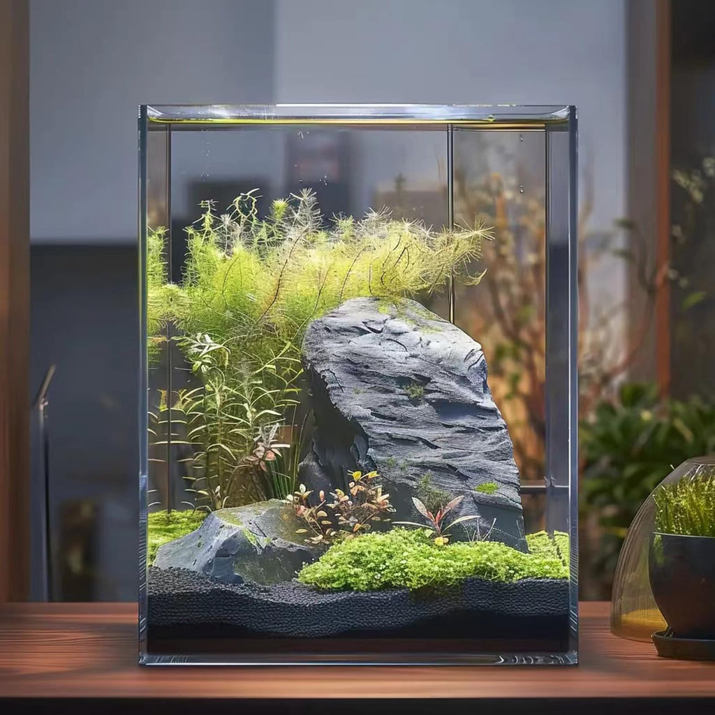 Vimvins 3 Gallon Glass Fish Tank – Small Desktop Aquarium for Betta, Shrimp & Plants