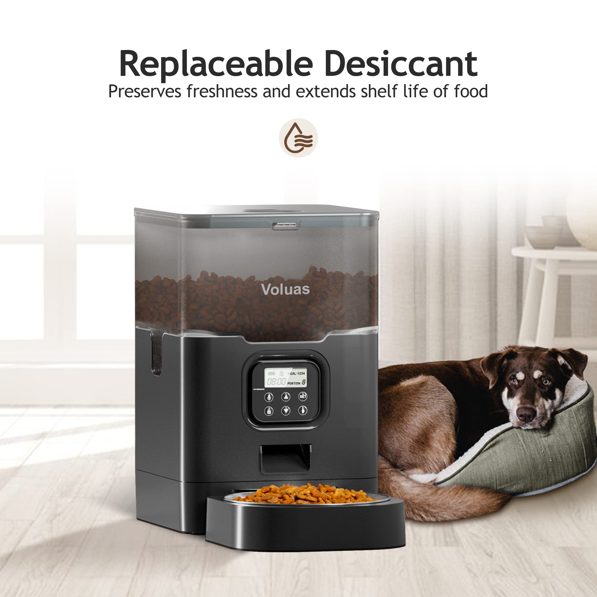 VOLUAS Automatic Cat Feeder – Timed Dispenser, 4 Meals/Day, 4L Capacity, Voice Recorder