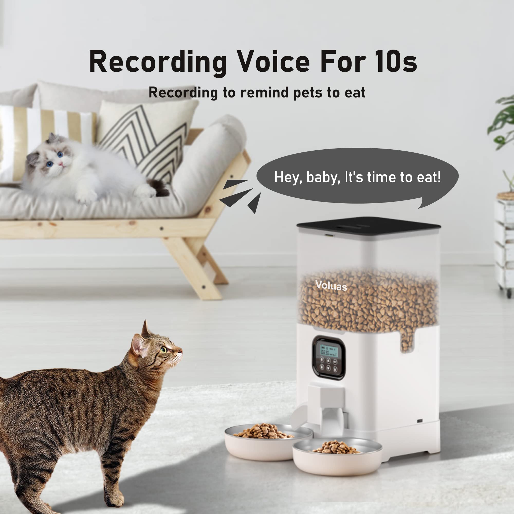 Voluas Automatic Cat Feeder for Two Cats | 6L Dual Bowls, Timed Feeding & Memory Function