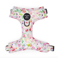 Ziggy's Secret Garden Design Dog Harness