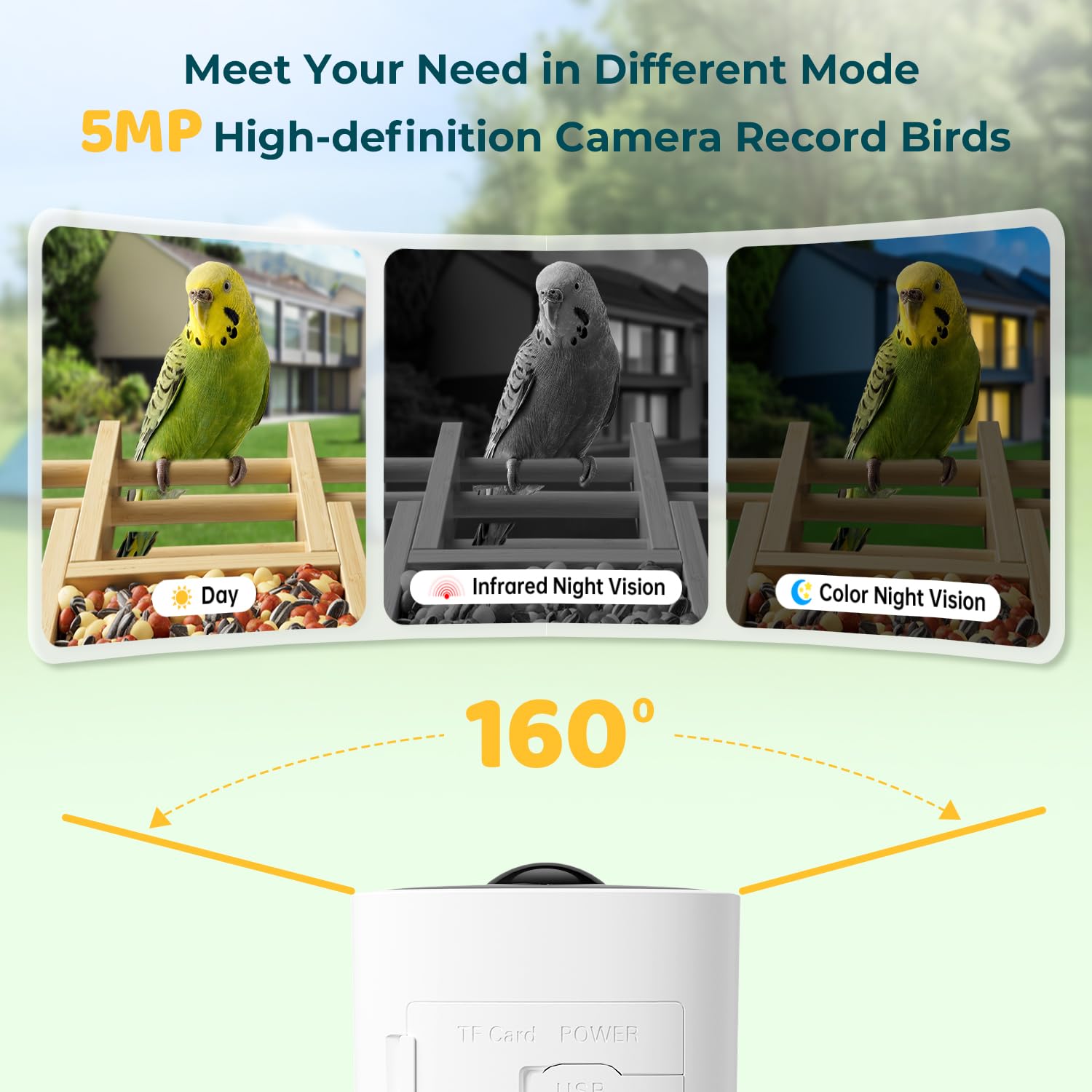 WESTHEY Solar Powered Bird Feeder with Camera - 2.5K HD AI ID 11,000+ Species