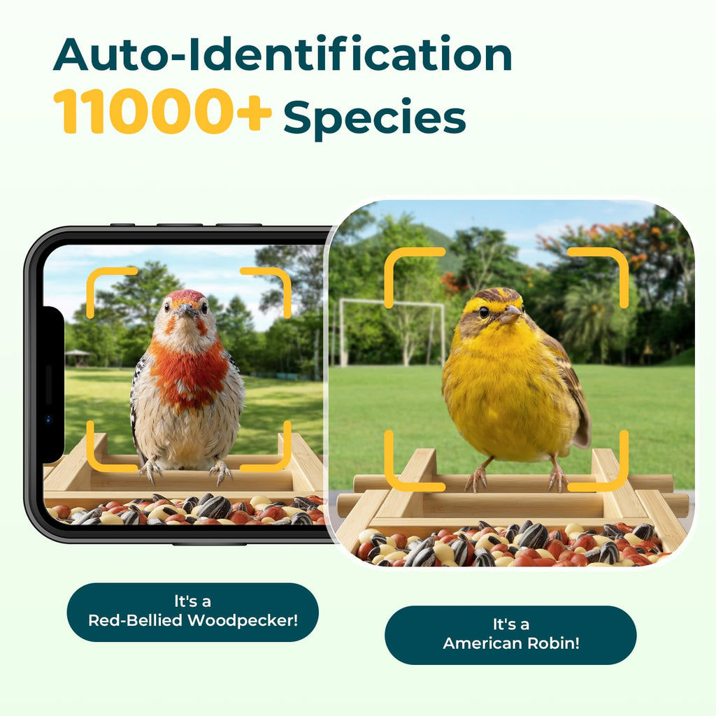 WESTHEY Solar Powered Bird Feeder with Camera - 2.5K HD AI ID 11,000+ Species