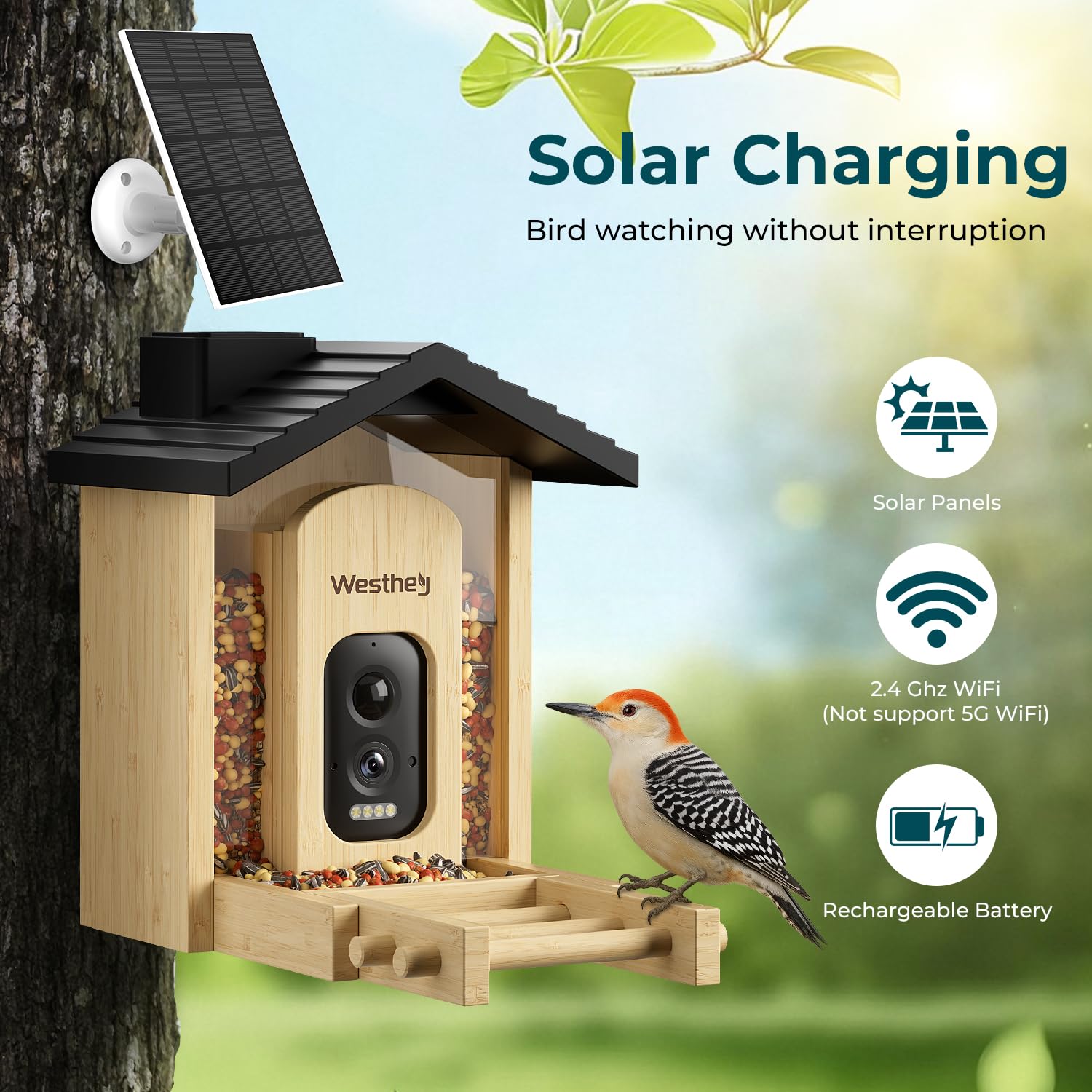 WESTHEY Solar Powered Bird Feeder with Camera - 2.5K HD AI ID 11,000+ Species